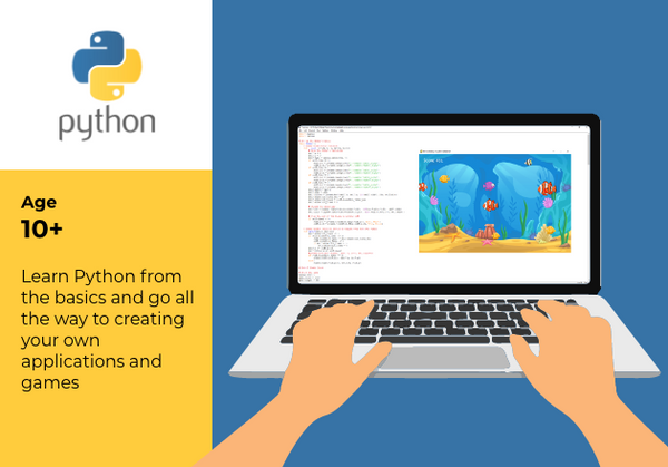 Python Programming Course Workshop – ROBO CLASSES